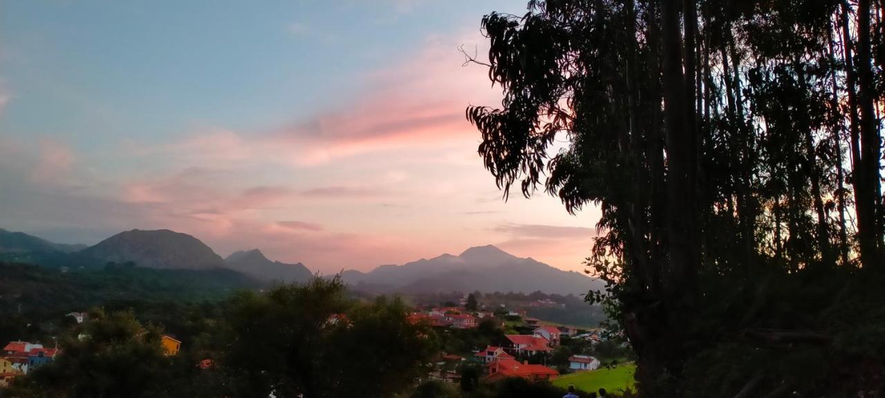 Tiu Xico Guest House Terenes Bagian luar foto