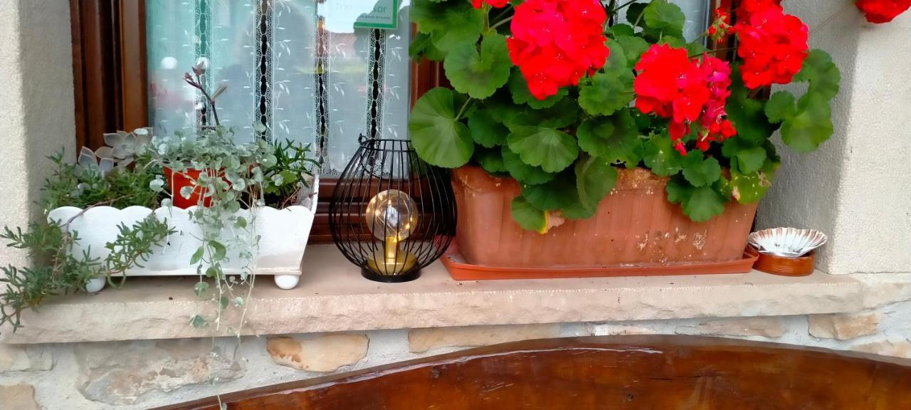 Tiu Xico Guest House Terenes Bagian luar foto