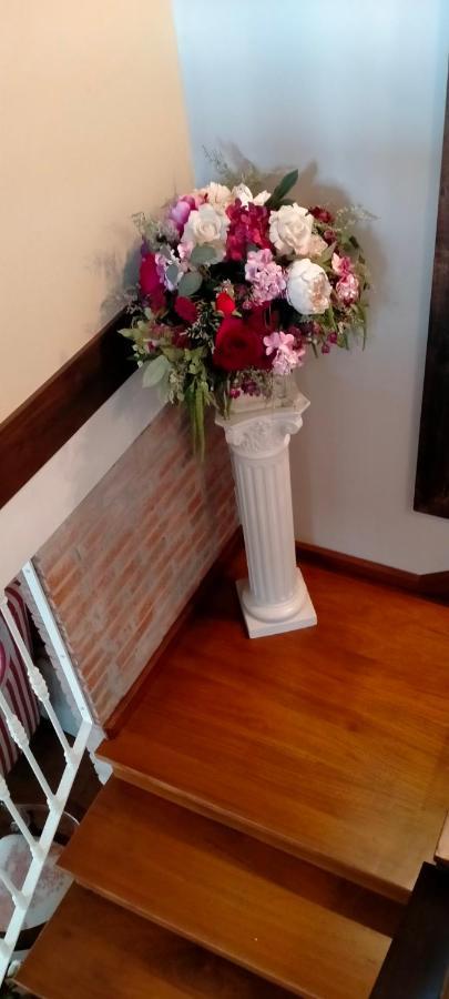 Tiu Xico Guest House Terenes Bagian luar foto